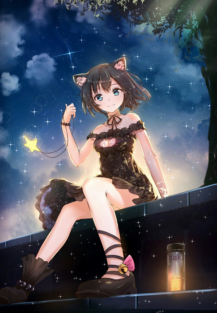 Аниме девочка с котом