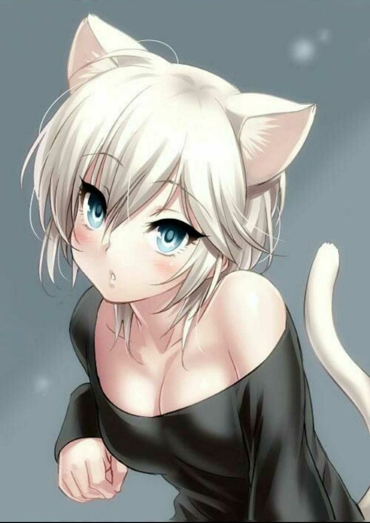 Аниме кошки