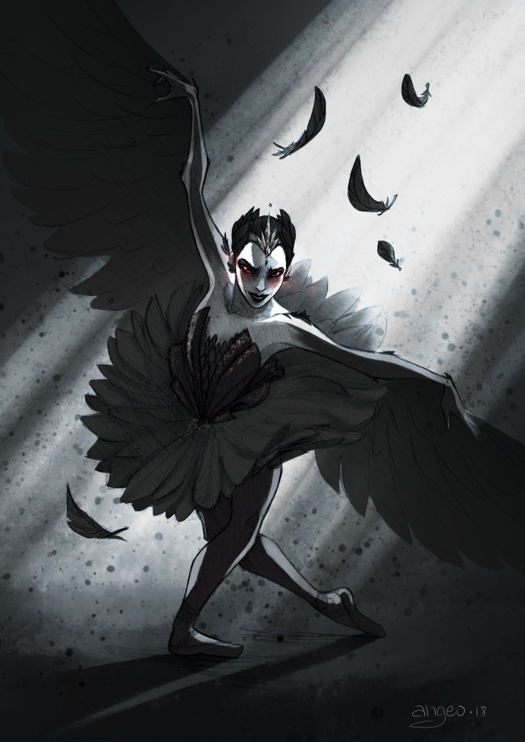 Студия Black Swan