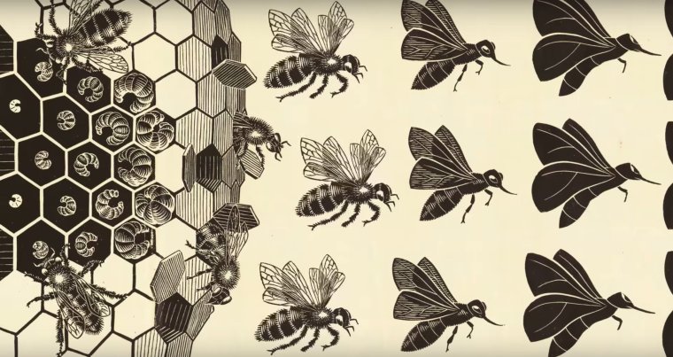 Графическая Метаморфоза