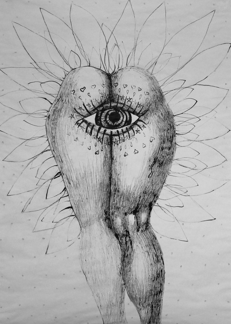 Метаморфоза рисунок