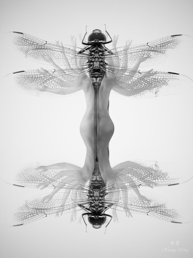 Метаморфозы арт