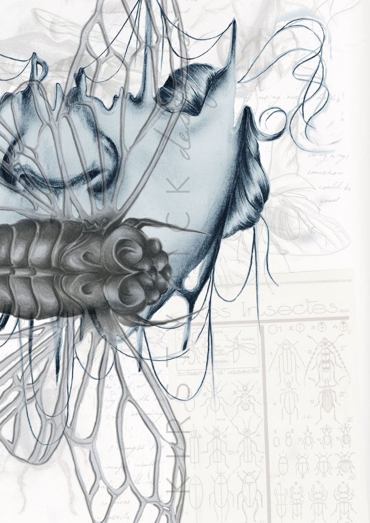 Метаморфозы арт