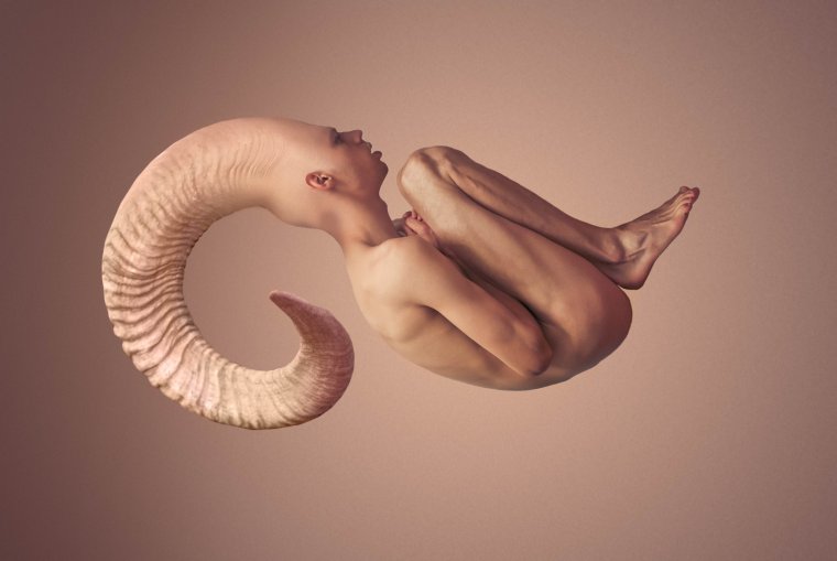 Метаморфозы человеческого тела