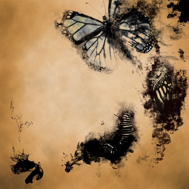 Тату Метаморфоза