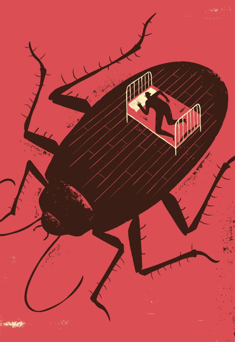 Метаморфозы таракан