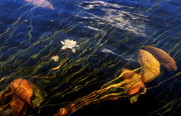 Владимир Голуб фотограф Воронеж