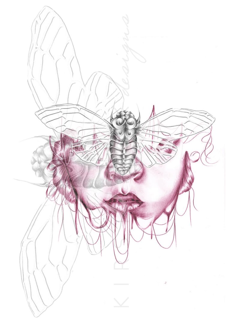 Скетчбук Метаморфоза