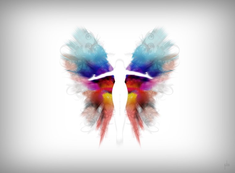 Перерождение бабочки