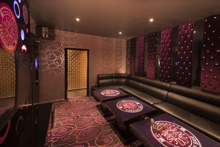 Караоке комната в доме