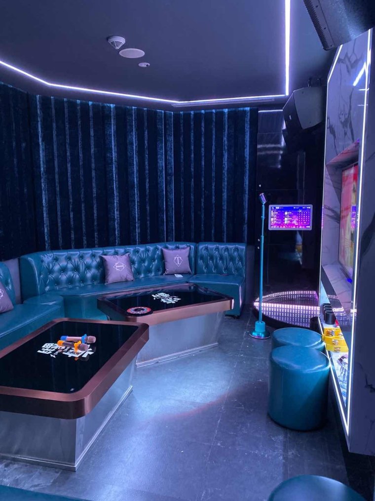 Караоке в доме