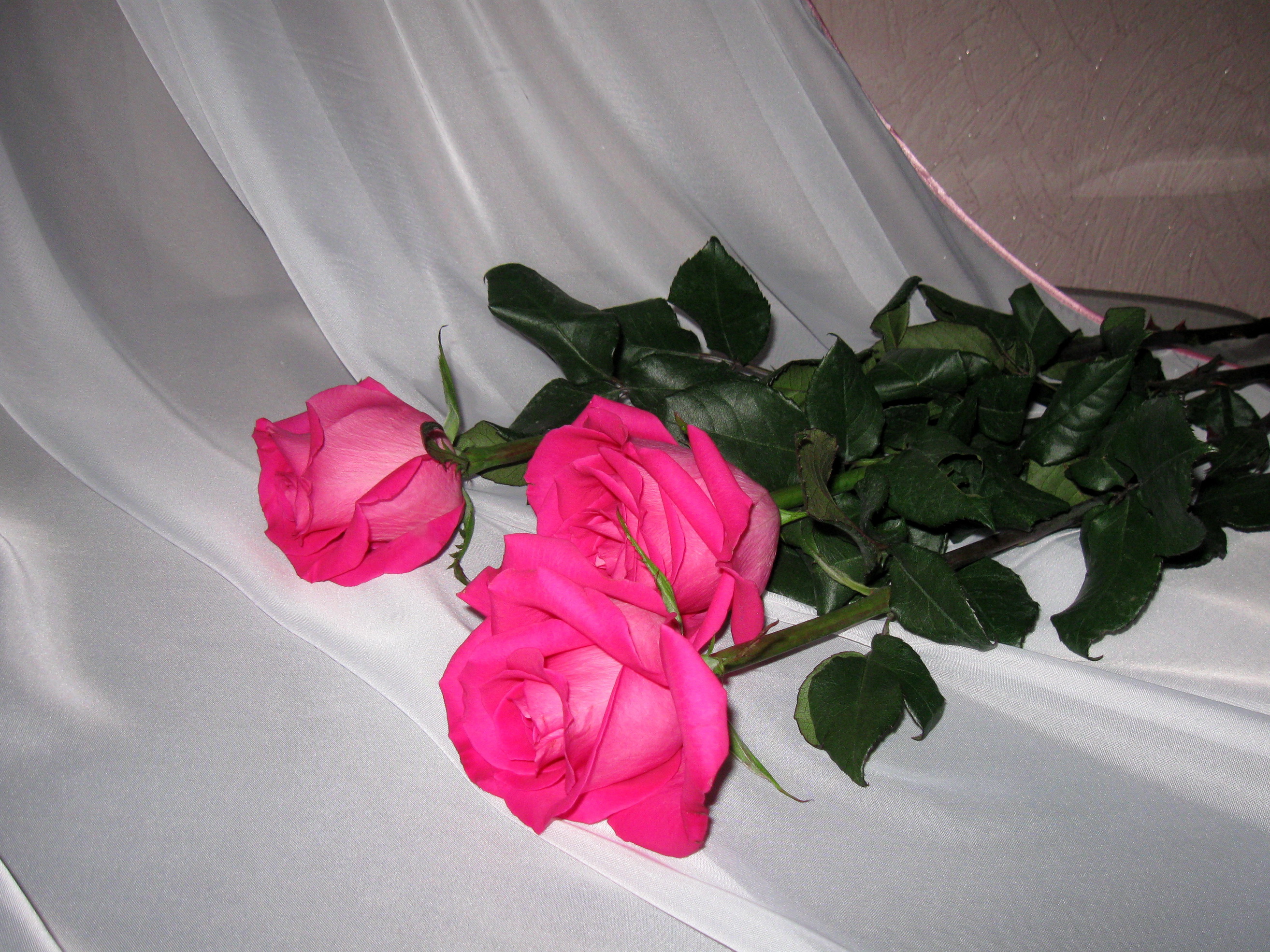 Три розы в вазе. Букет цветов на кровати. Букет роз дома. Букет роз на кровати. Букет цветов в домашней обстановке.