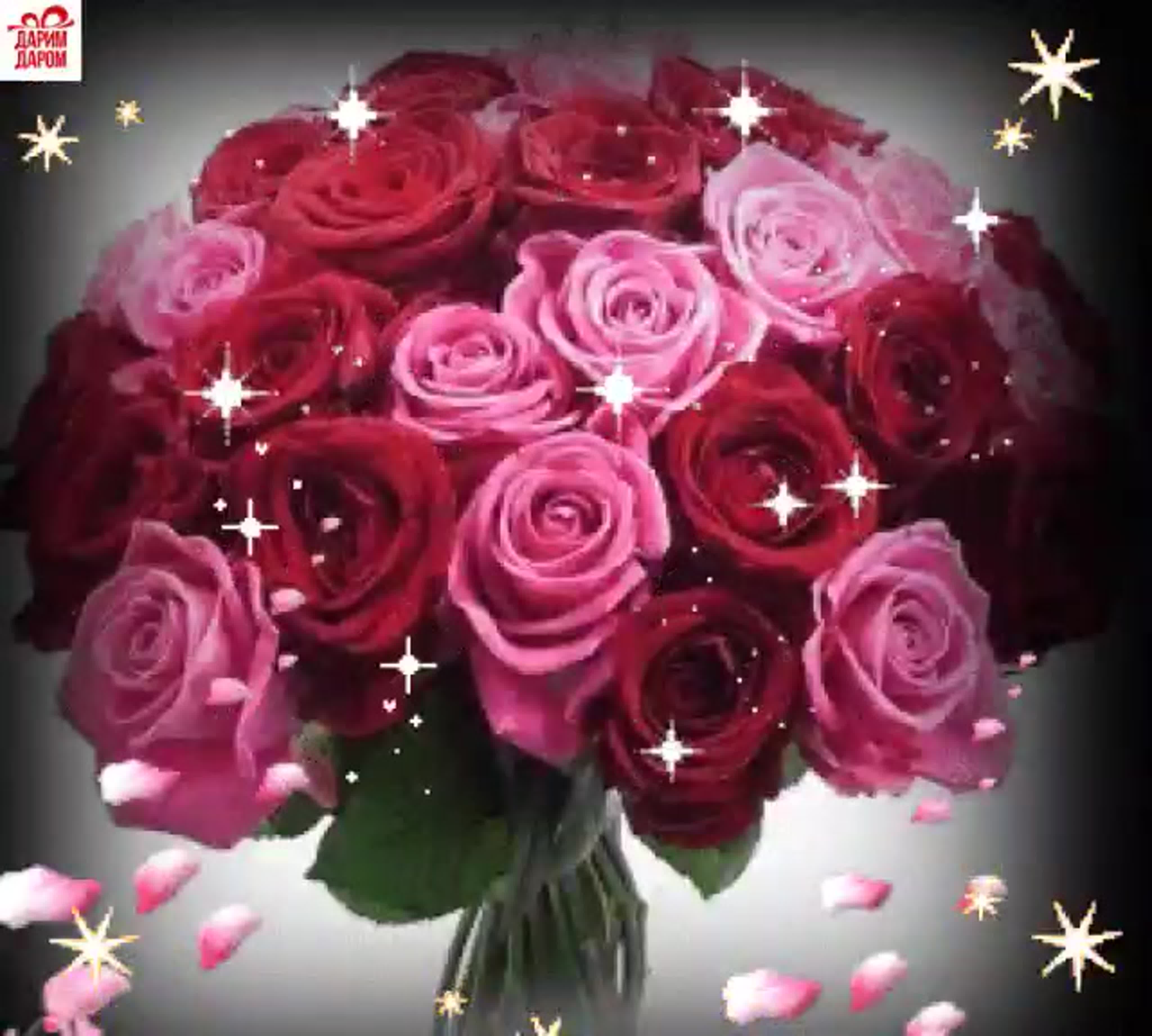 Мерцающие розы с днем рождения женщине красивые. Роскошный букет. Шикарный букет цветов. Красивые мерцающие букеты. Красивые большие букеты.