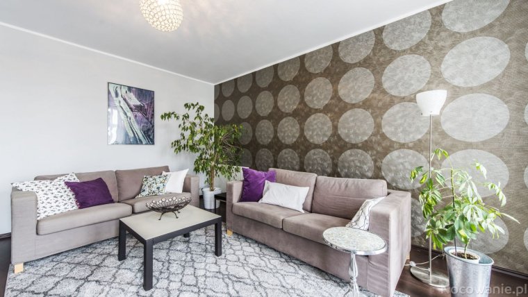 Элизиум 10907