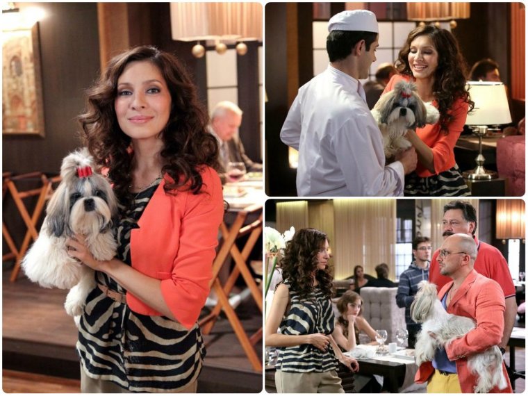 Елена Подкаминская в лифчике кухня