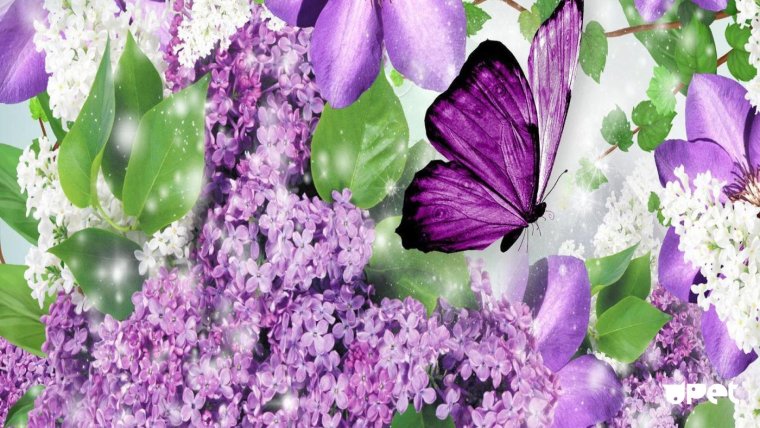 Фотообои красивые