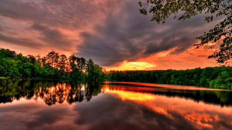 Закат в лесу