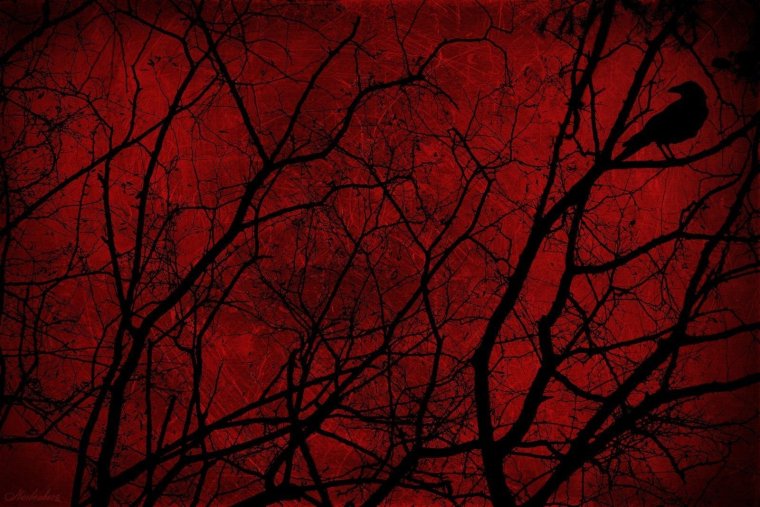 Черная кровь