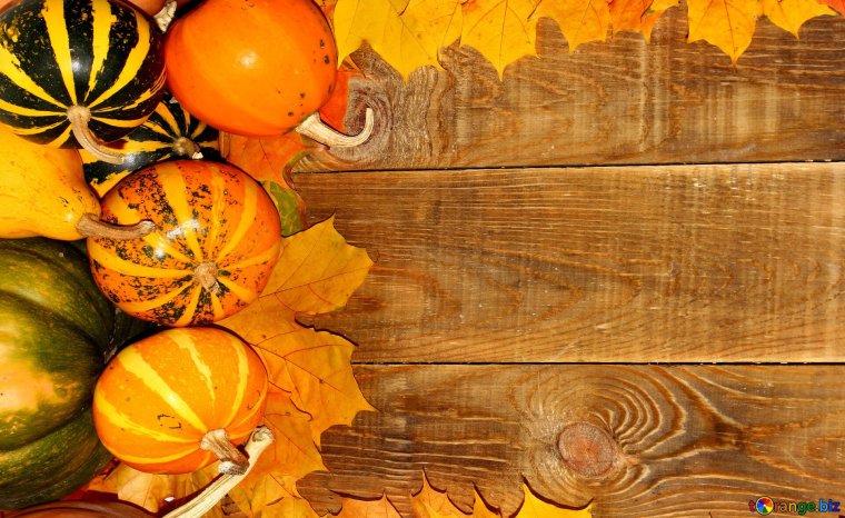 Фон для осенней выставки