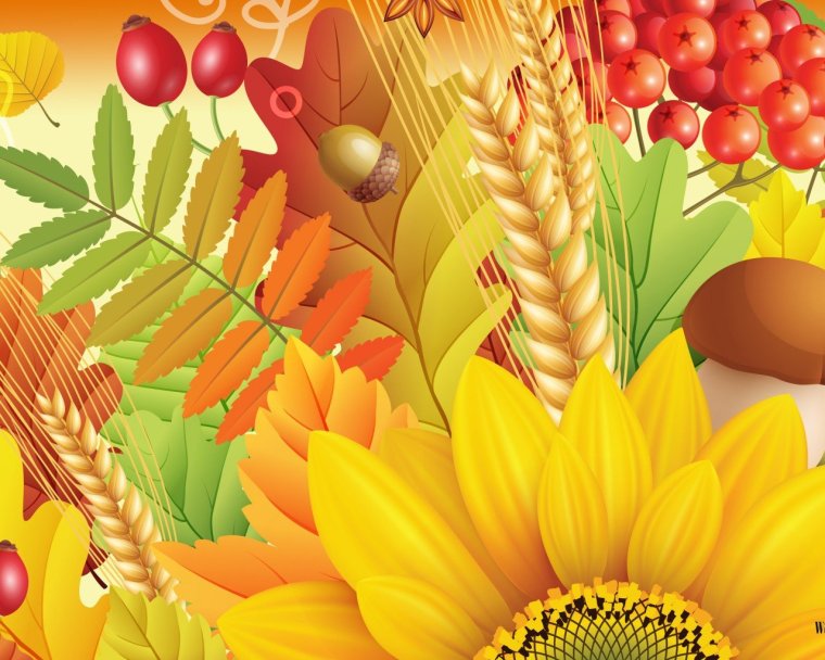 Праздник урожая фон