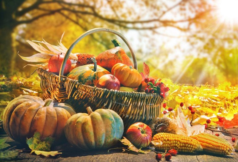 Осенние овощи