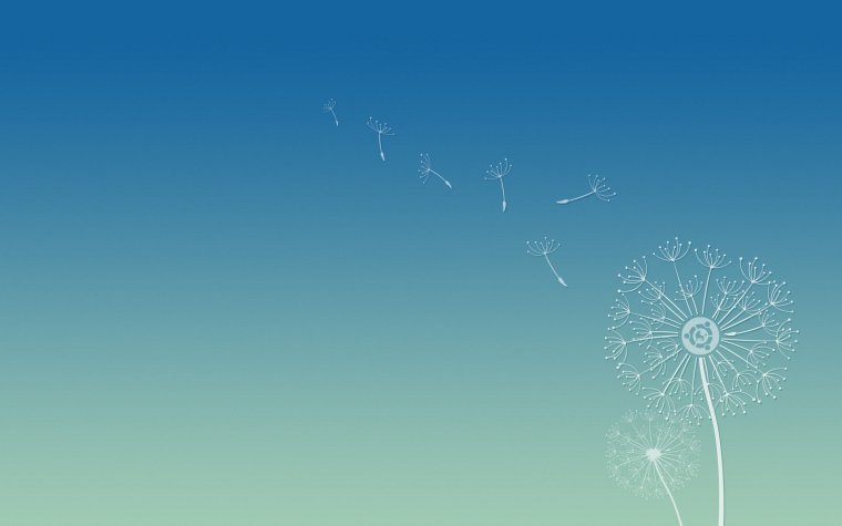 Одуванчики фон