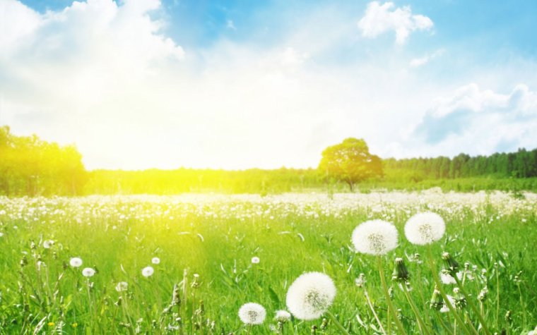 Солнечная погода