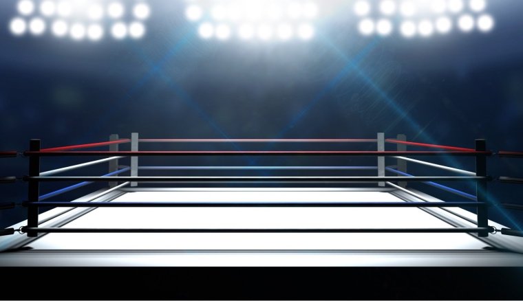 Боксерский ринг Арена