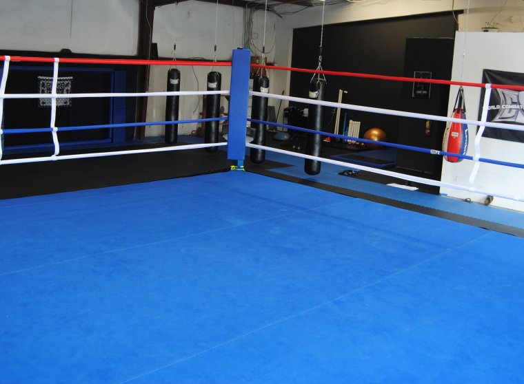 Бойцовский ринг