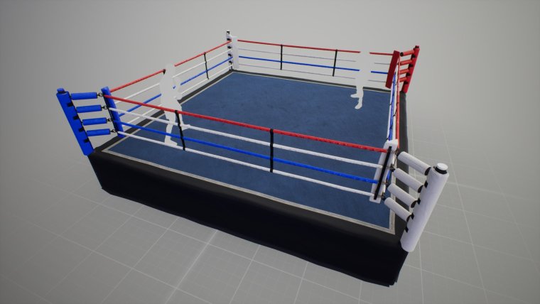 Айди боксерского ринга