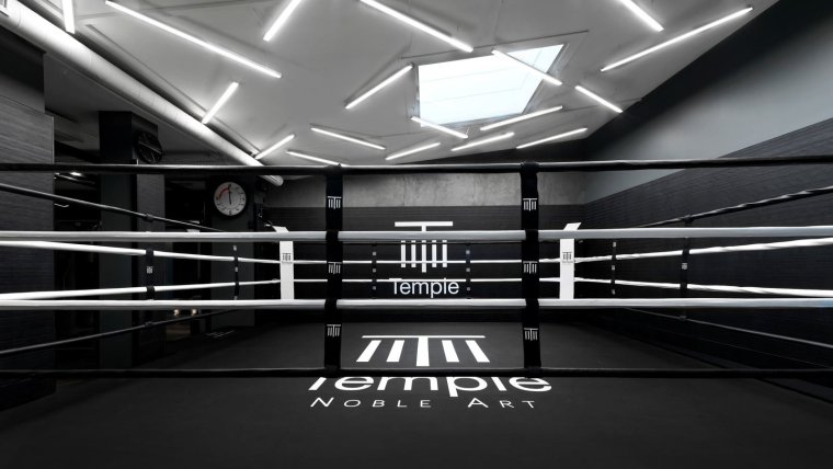 Бокс ринг арт