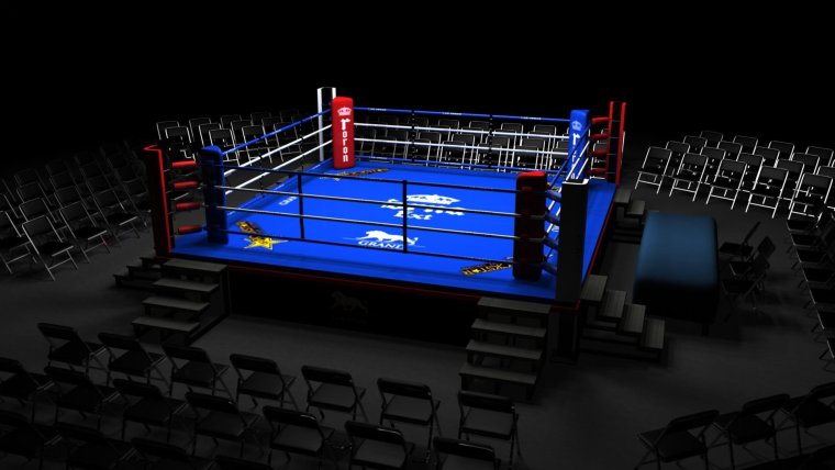 Боксерский ринг Арена