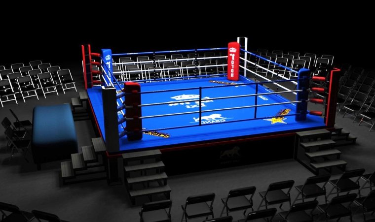 Боксерский ринг АИБА