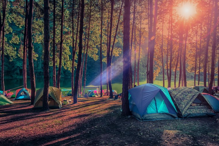 Палаточный лагерь в лесу