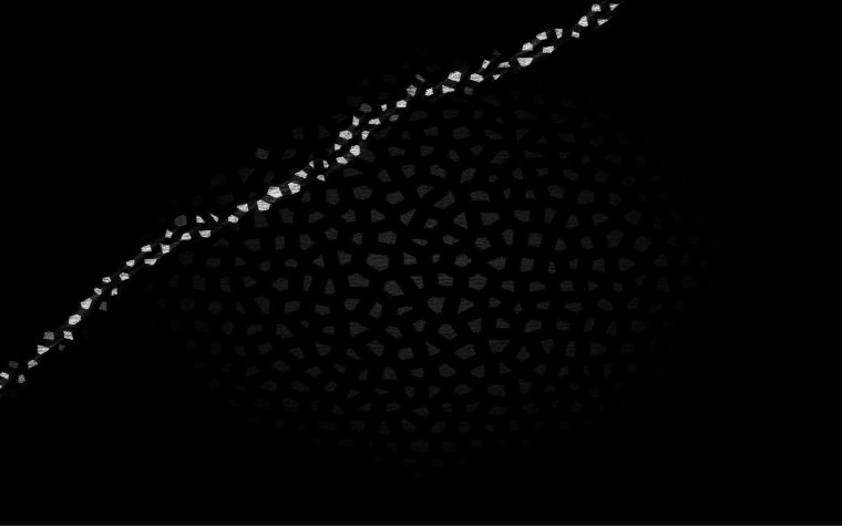 Обои черные в точечку