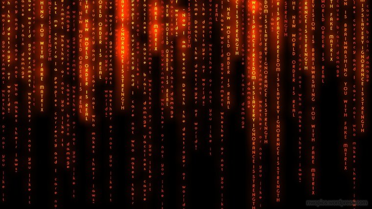 Матрица обои