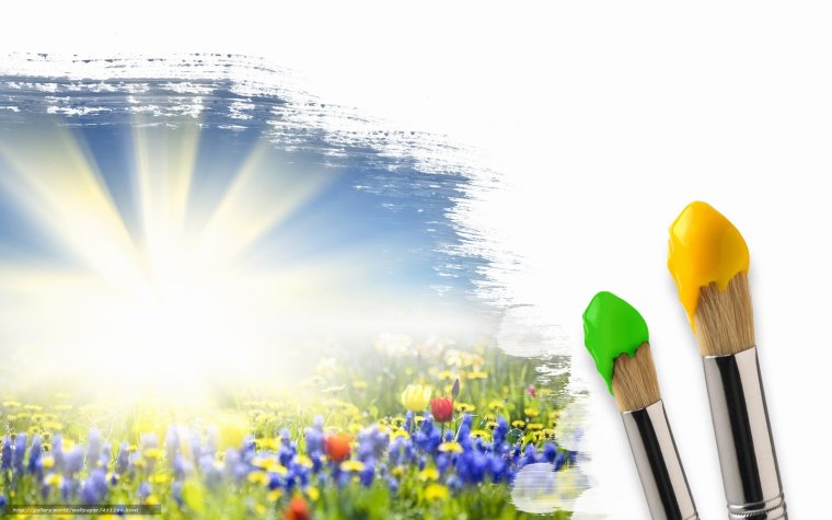 Кисти и краски