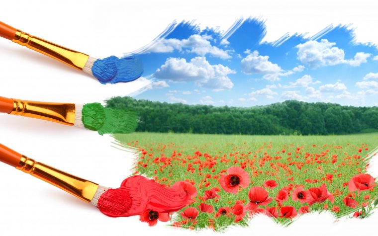 Волшебная кисточка