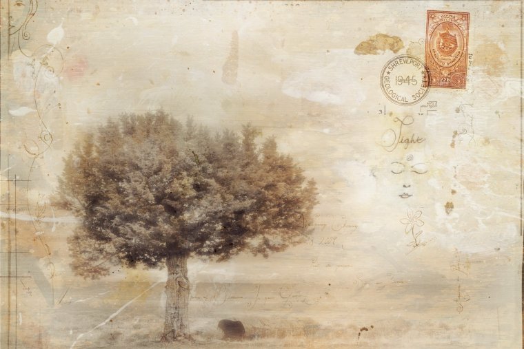 Винтажные фоны для презентаций