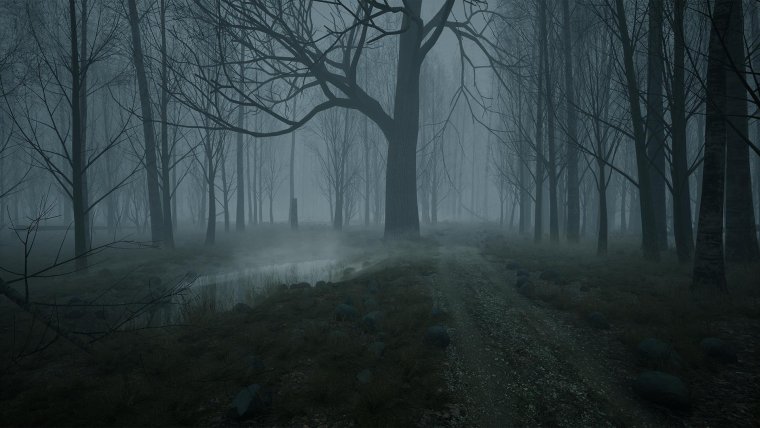 Жуткий лес