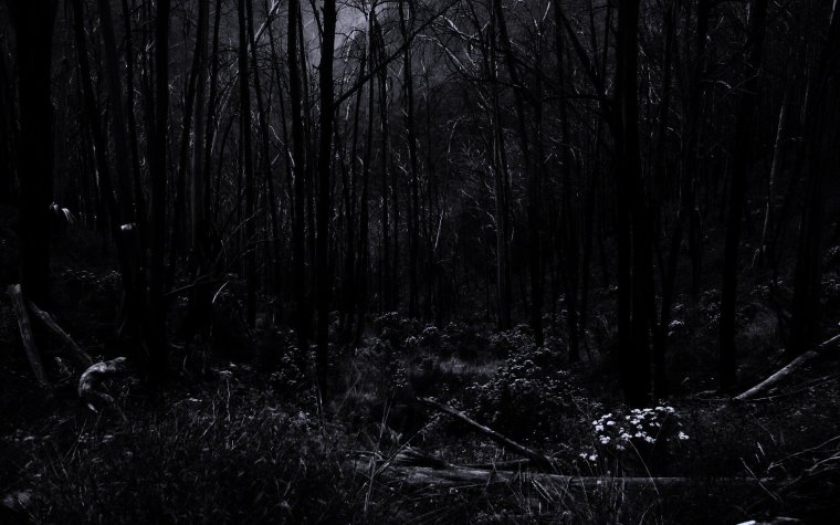 Мрачные готические пейзажи