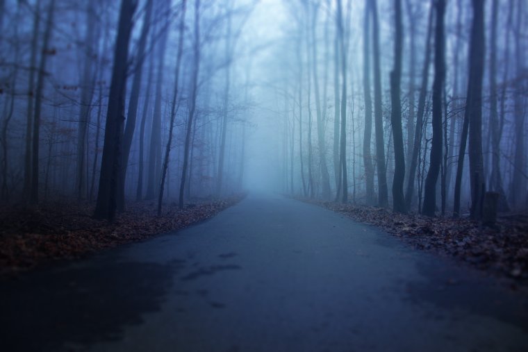 Страшный фон для фотошопа