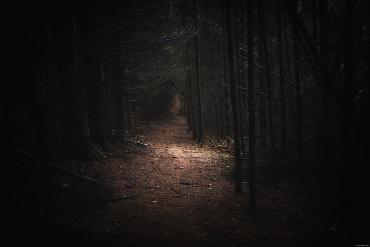 Страшный лес