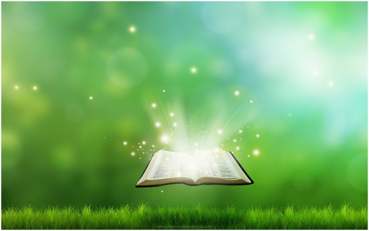 Фон для презентации книги