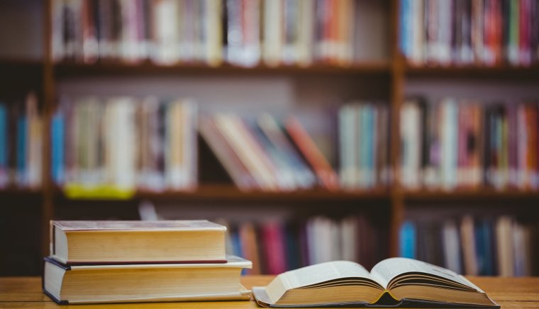 Литературный фон