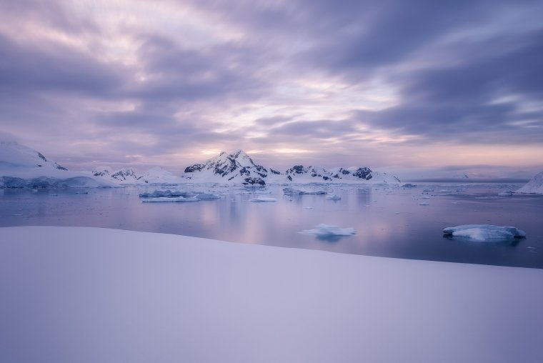 Антарктида фон