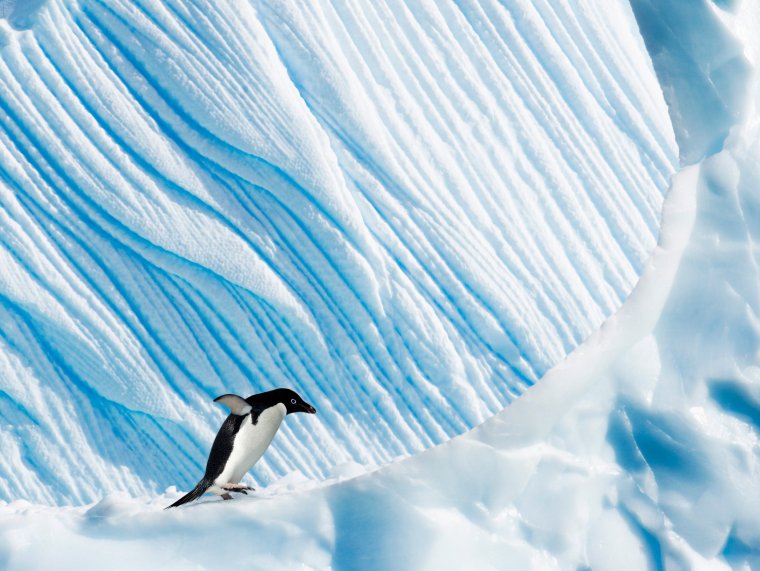 Фон Антарктида для фотошопа