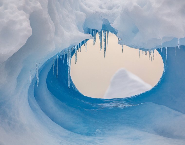 Антарктида картина