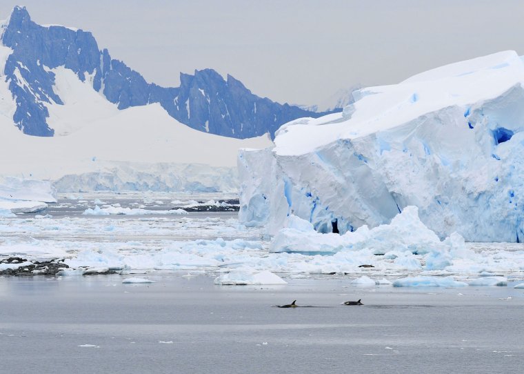 Антарктическая гляциоэра