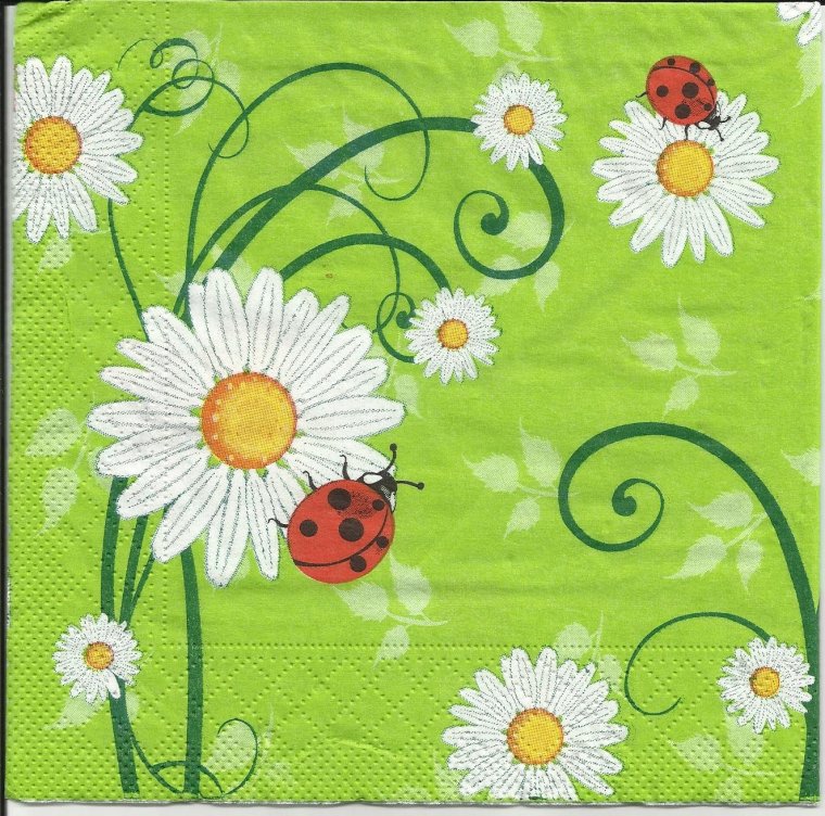 Ромашковое поле дети